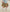 [Baby] エアークリンクル チェック ブルマ