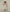 [Baby] エアクール ライン配色 7分丈 ワイドロンパース