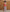 [Kids] エアークリンクル ストライプ 7分丈ワイドパンツ