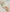 [Baby] もちもちモダールリブ 腹巻付き 5分丈レギンス