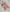 [Baby] プレミアムテンセル リブストレッチ 半袖ボディスーツ