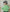 [Kids] ストライプ ニット バケットハット