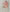 [Baby] プレミアムテンセル リブストレッチ 半袖ボディスーツ